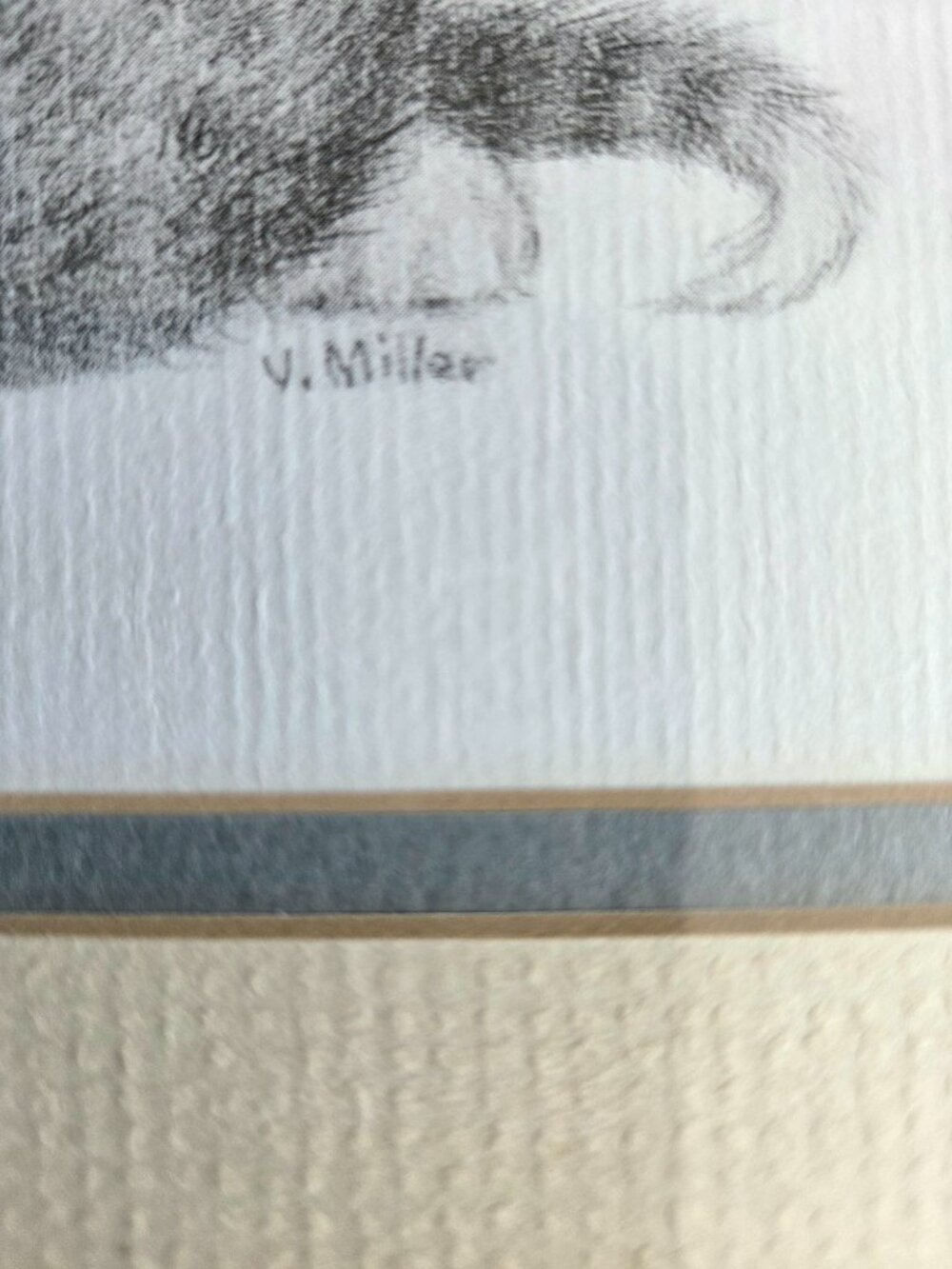 Signed by Virginia Miller Framed Art. Playing Kittens Portrait. - Picture 3 of 5